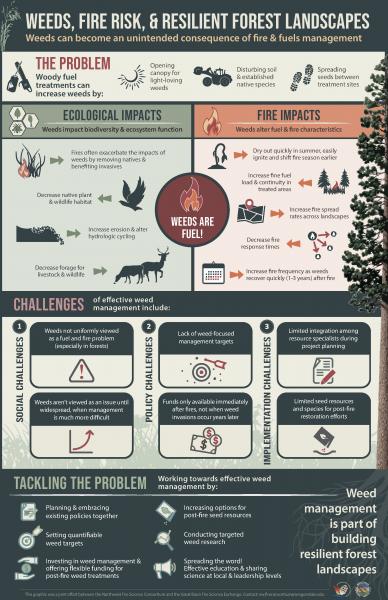 Weeds, Fire Risk, and Resilient Forest Landscapes