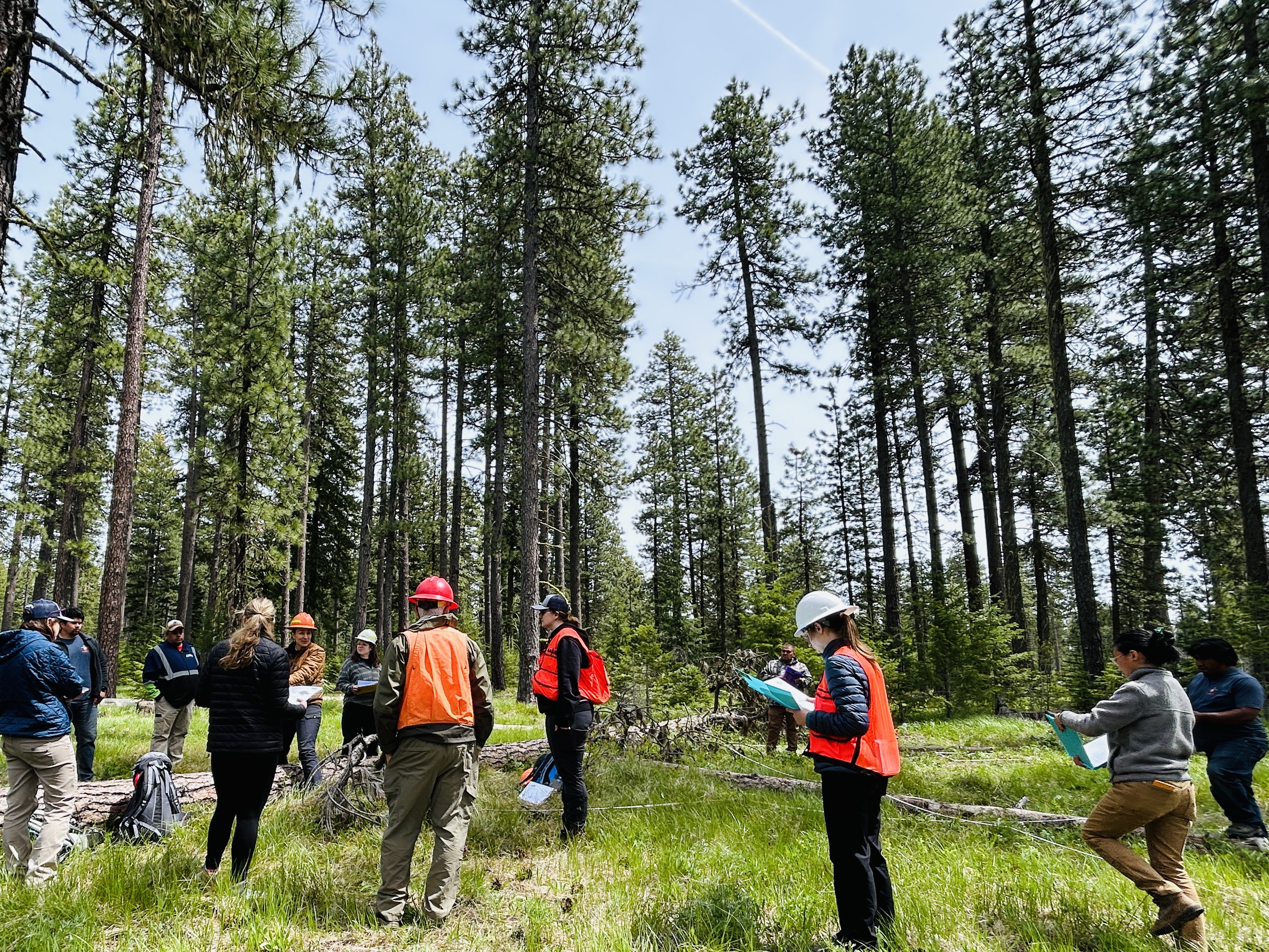 Students review instructions for next steps of the monitoring protocol in a forested area of the Yakama Reservation