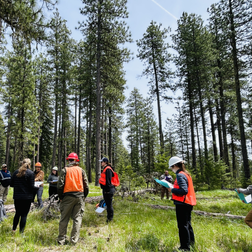 Participants in a recent Fire and Fuels Monitoring workshop
