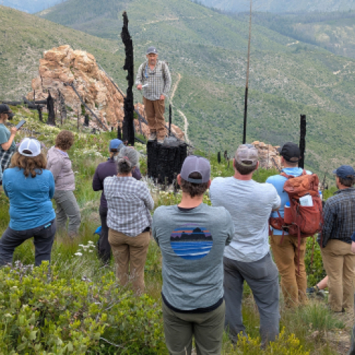 workshop participants on a slope with charred tree trunks