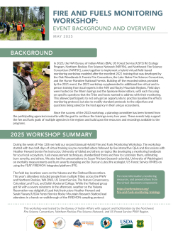 Cover of writeup on the 2025 monitoring workshop 