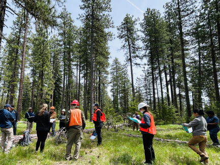 Participants in a recent Fire and Fuels Monitoring workshop